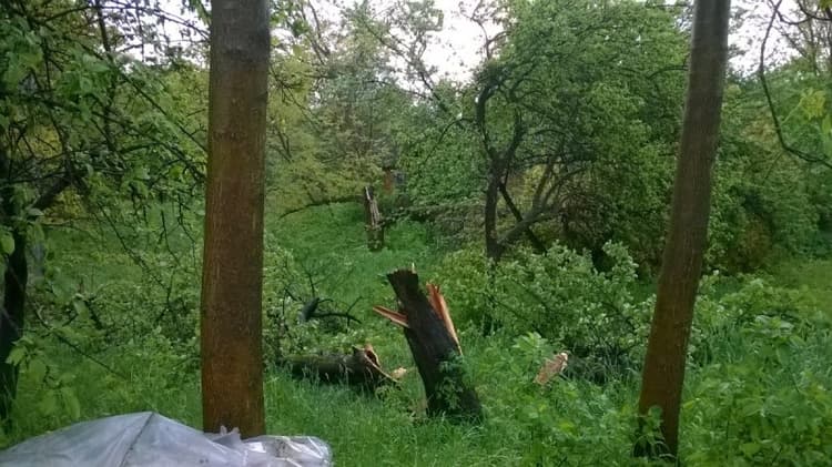 Image d'illustration pour Grêle et tornade en Pologne et en Ukraine