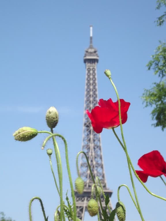 Image d'illustration pour Météo-Paris - Enfin du soleil et de la chaleur